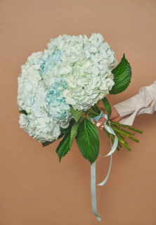 Букет из 7 голубых гортензий