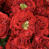 Букет из 25 садовых роз 