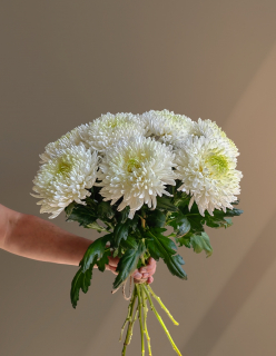 Новый товар