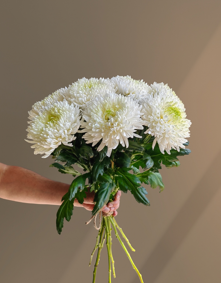 Новый товар Новый товар