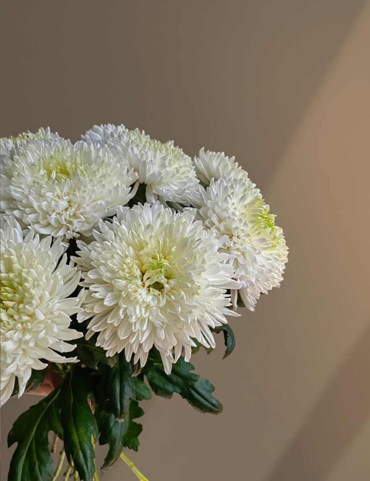 Новый товар Новый товар