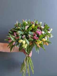 Букет из 17 альстромерий микс 