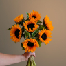 Букет из 7 подсолнухов
