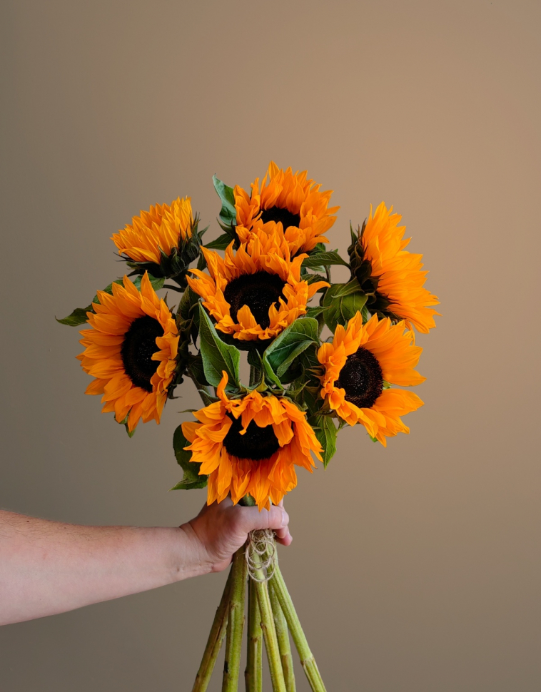 Букет из 7 подсолнухов