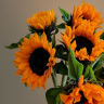 Букет из 7 подсолнухов