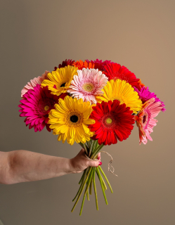 Букет из 15 гербер микс 