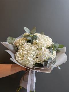 Букет из 5 белых гортензий с эвкалиптом