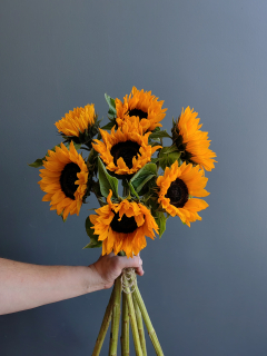 Букет из 7 Подсолнухов