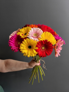 Букет из 13 гербер 