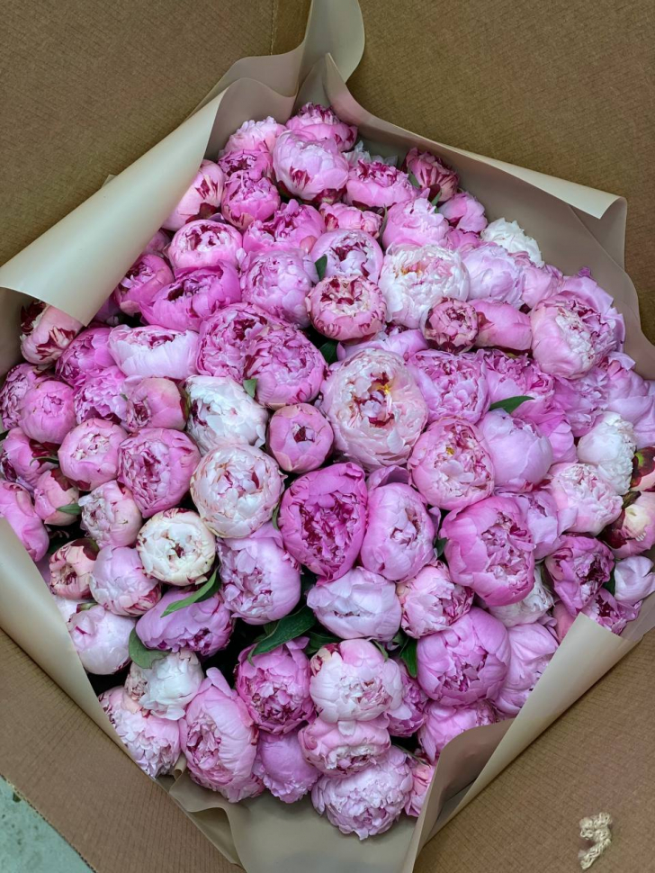 Букет из 99 пионов