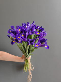 Букет из 17 синих Ирисов 