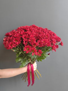 Букет из 13 красных кустовых хризантем 