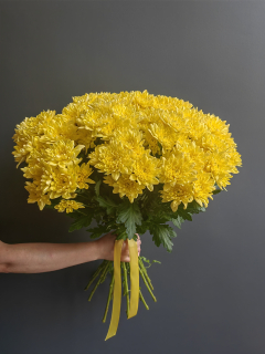 Букет из 11 желтых кустовых хризантем