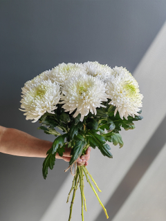 Букет из 9 белых хризантем 